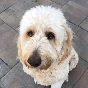 Meet your Posher, Terri